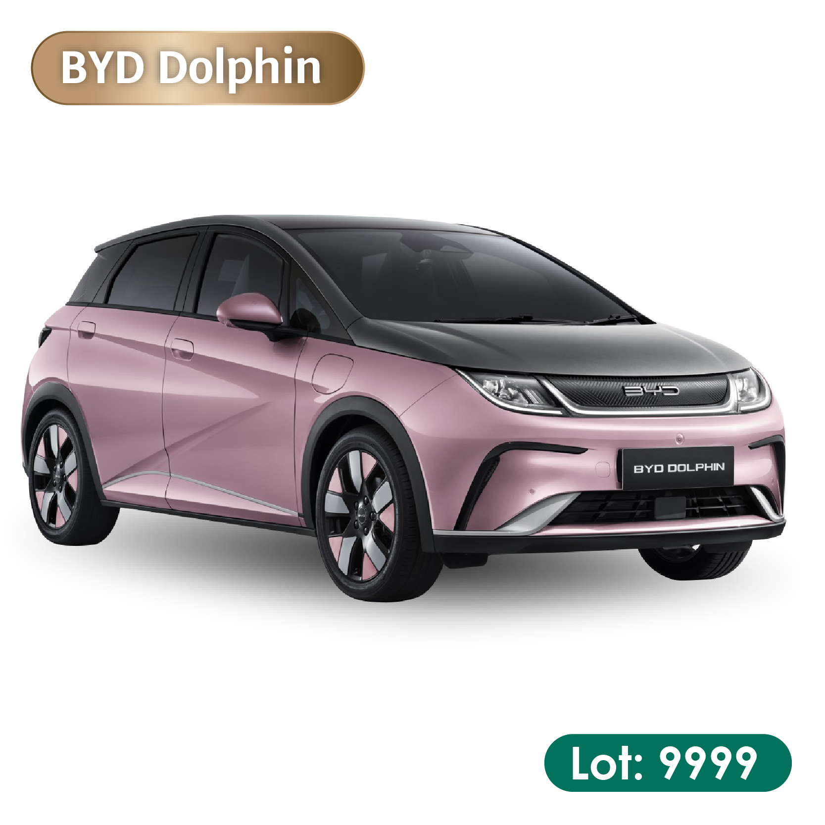 9. BYD Dolphin | Lot: 9999